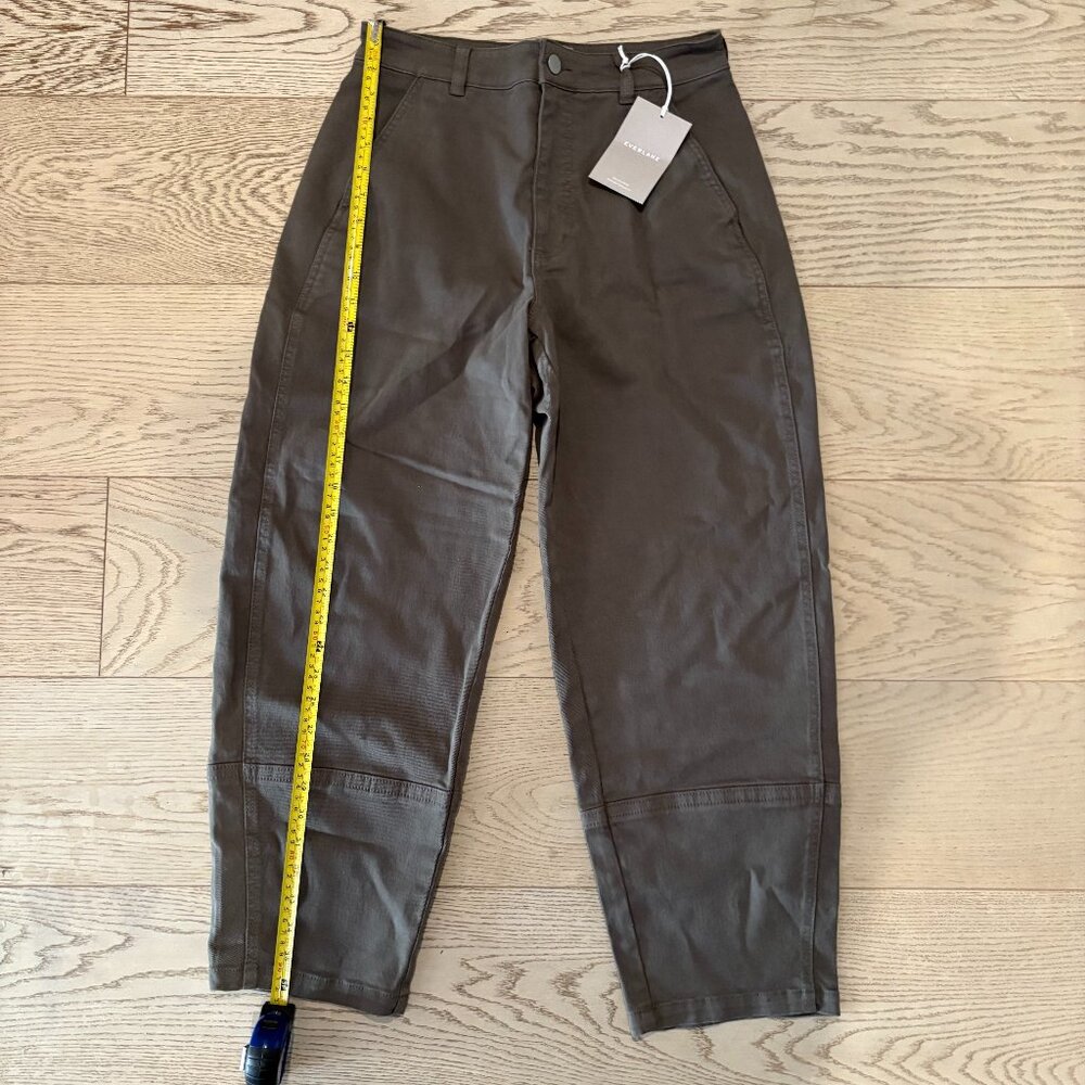 Everlane Basil Utility Barrel Pant